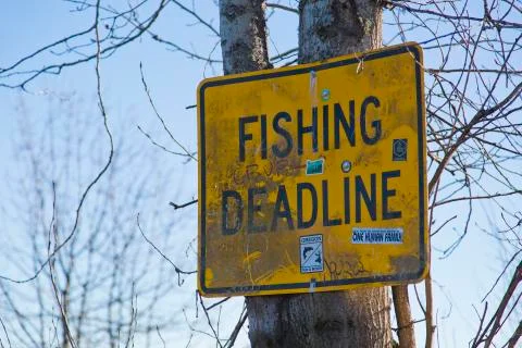 Fishing Deadline 스톡 사진