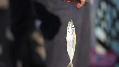 Fishing detail shoot Stock Footage 93552016
