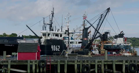 Fishing Dock on Wharf Stock Footage 203113427
