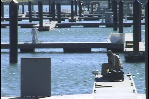 Fishing on Docks Stock Footage 297534