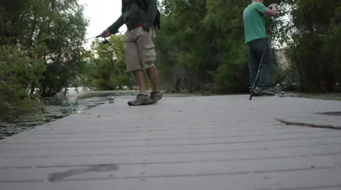 Fishing from the docks Video stock 54415754