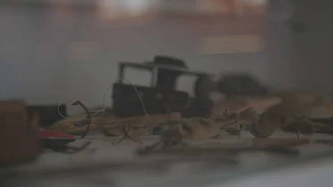 Fishing equipment collection Видео 89531380