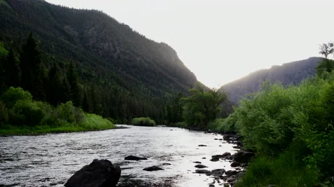 Fishing the evening hatch. Stock Footage 135451829