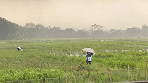 Fishing in the fields Foto stock