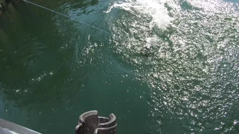 Fishing-Fighting a Rainbow Trout on the surface 50% SloMo, 9/15/2021 Stock Footage 311543836