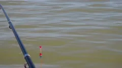 https://images.pond5.com/fishing-fishing-rod-float-hook-footage-148413419_iconm.jpeg
