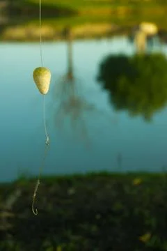 Fishing  float and hook Stock Photos