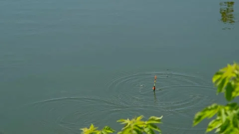 Fishing Float and Hook Suspended Over Calm River Water Surface Stock Footage 328357020