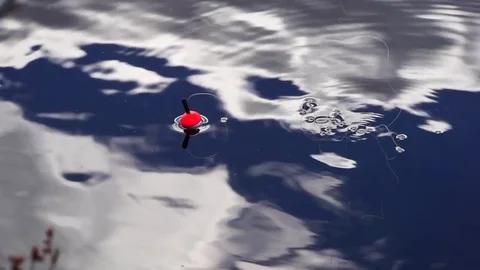 A fishing float bobber floating in the w, Stock Video
