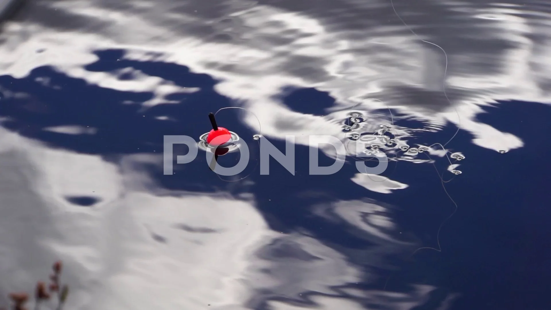 A fishing float bobber floating in the w, Stock Video