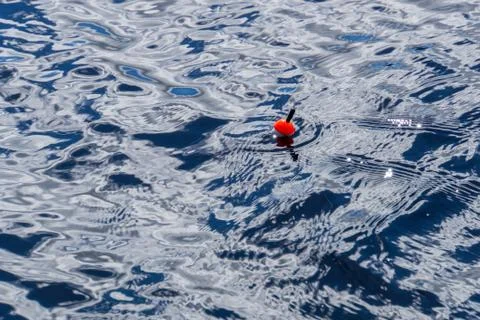 A fishing float bobber floating in the water surface Foto stock