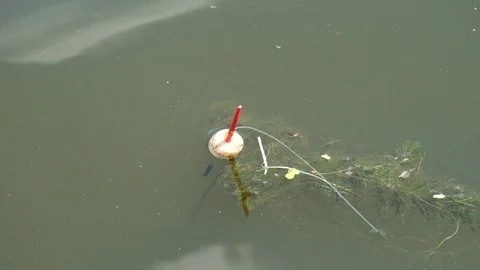Fishing float bobs up and down creating ripples to signal a bite Video stock 110604837