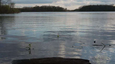 Fishing float on calm lake water during peaceful evening fishing trip Stock Footage 334455215