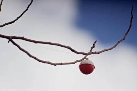 Fishing float with clear line tangled in bare tree branch Stock Photos