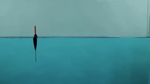 Fishing float close-up Stock Footage 69166736