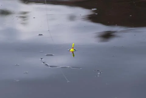 Fishing float floating on dark still water with reflections for hobby and l.. Stock Photos