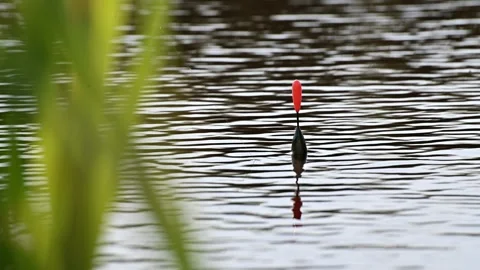 Bobber Water Fishing Stock Video Footage