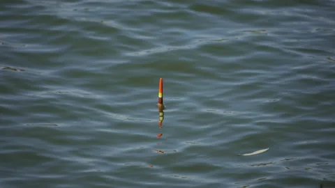 A fishing float floats in the water on the waves Stock Footage 140282431
