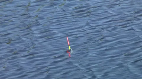Fishing, float. Stock Footage 49384897