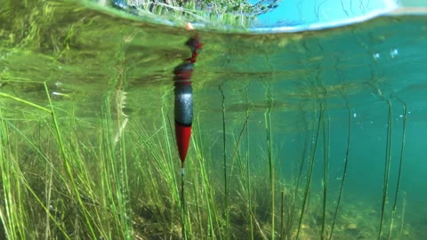 Fishing float in the forest lake Stock Footage 134297170