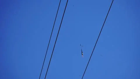 A fishing float hanging on an electric wire Stock Photos