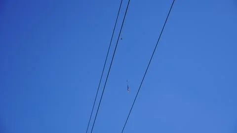 A fishing float hanging on an electric wire Stock Photos