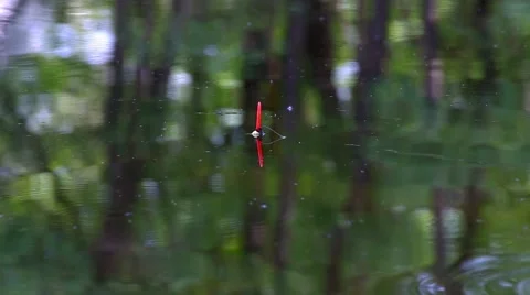 Fishing Float lake. Stock Footage 50417817