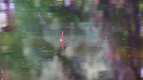 Fishing Float lake. Stock Footage 50417852