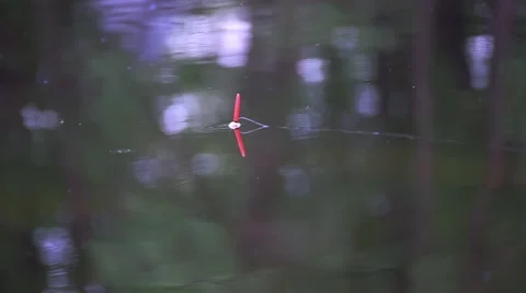 Fishing Float lake. Stock Footage 50417899