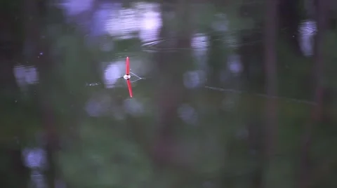 Fishing Float lake. Stock Footage 50417910