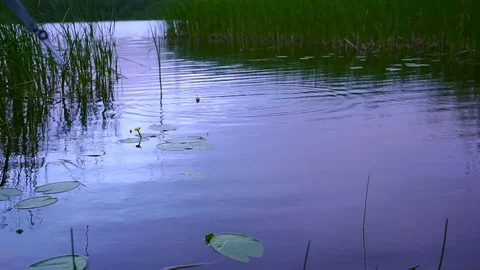 Fishing float in the lake Stock Footage 78255073