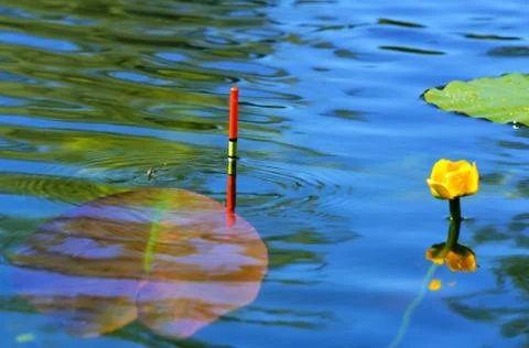 Fishing float in the lake Stock Photos