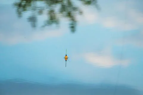 Fishing float on the lake surface Stock Photos