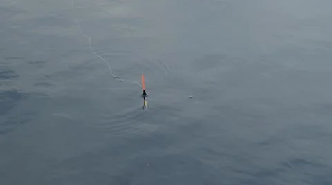 Fishing float on the lake water, 4k footage Video stock 67238178