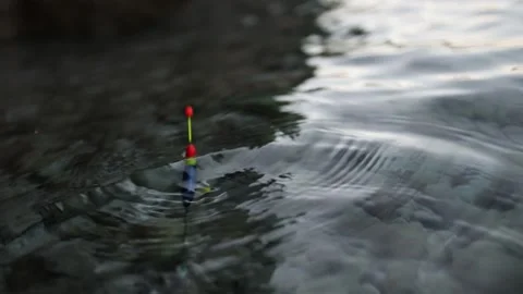 Fishing float moving with ripples during a fish bite in clear water Stock Footage 341622447