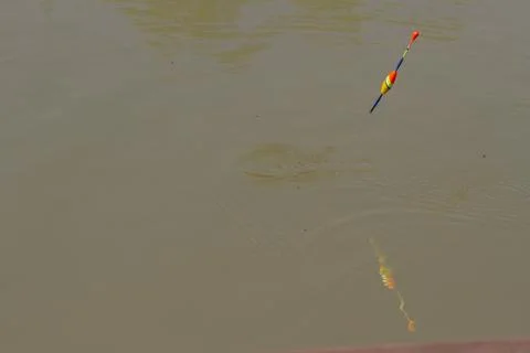 A fishing float is pulled out of a lake with muddy water. Stock Photos