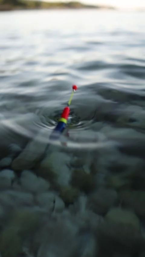 Fishing float reacts to an active fish bite in clear calm water Stock Footage 341321355