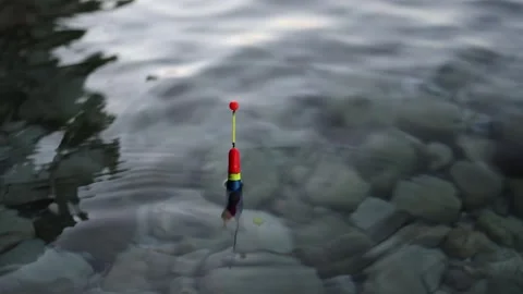 Fishing float reacts to a fish bite in clear shallow water Stock Footage 341622464
