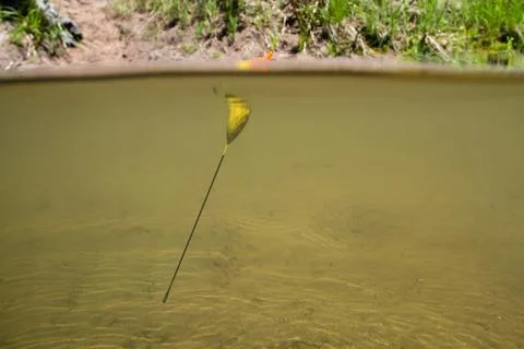 Fishing float in the river near the shore Stock Photos