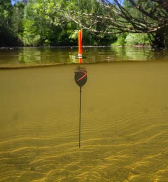 A fishing float sits upright in a forest stream Stock Photos