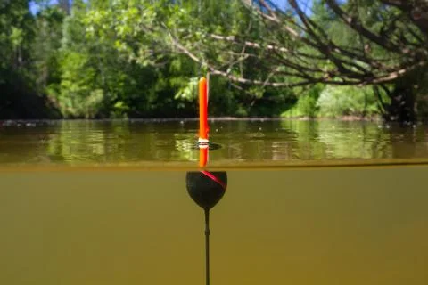 Fishing float sits upright in forest river Stock Photos