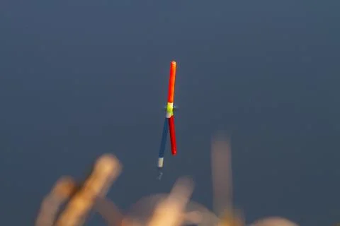 Fishing float sits upright in the water in late autumn Stock Photos
