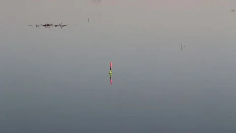 Fishing float slightly moving on water surface of the lake while fish bites bait Stock Footage 151776941