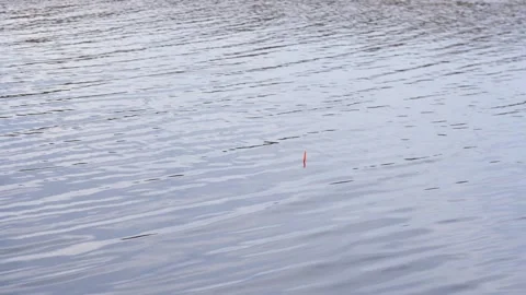 Fishing float swings on the waves while fishing with a fly rod on a river. Stock Footage 184610547