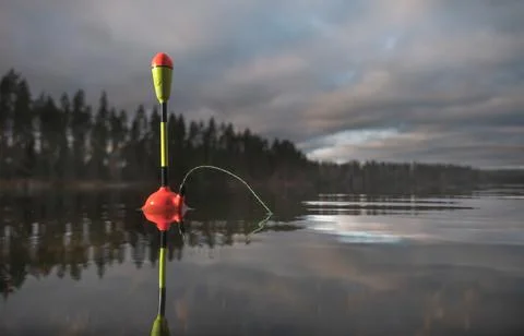 Fishing float in the water close-up. Evening fishing. 写真素材