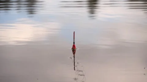 Fishing float on the water close up Stock Footage 336925011