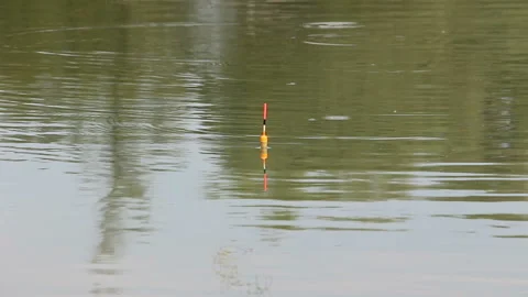 Fishing float on the water. The fish bites the bait Stock Footage 150492351