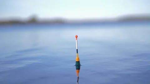 Fishing. float in the water. fish is caught. Slow motion Vidéo 129701145