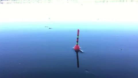 Fishing float on the water 動画素材 138280002