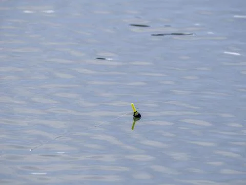 Fishing float on the water Stock Photos